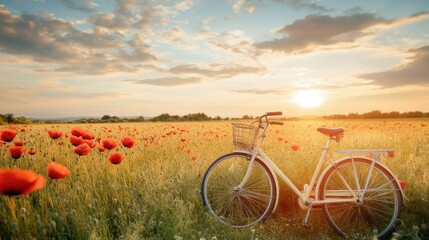 Naklejka premium A bicycle resting beside an open field of poppies swaying in the summer breeze