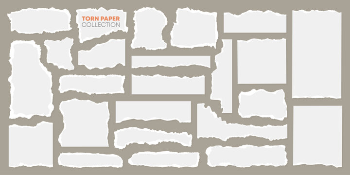 Set of torn newspaper strip with grunge texture, ripped plastic paper label, realistic sticky note or adhesive sticker, damaged page cutout background and business banner ornament for social media.