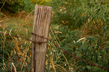 Fototapeta premium old wooden fence in the village