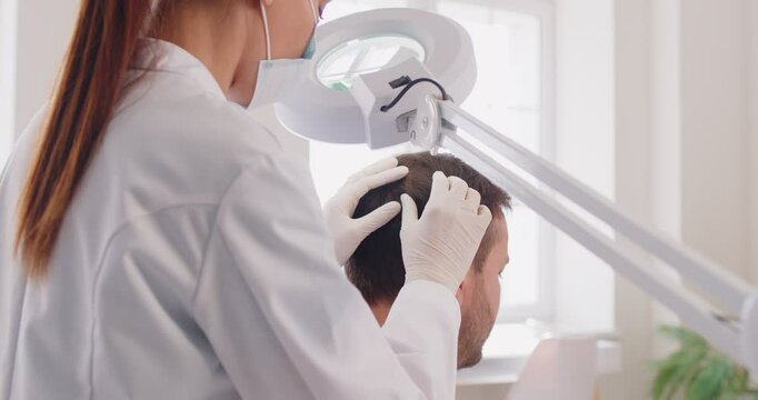 Trichologist analyzes hair, hair loss, scalp problems, trichology medical practitioner, dermatologist making male head hair diagnosis and treatment for pediculosis or hair loss, head lice infestation