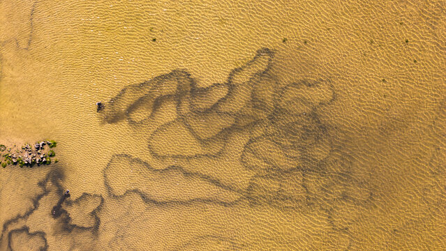 Aerial view of beautiful sea with birds and abstract patterns of silt, Lobos Island, Canary Islands, Spain.