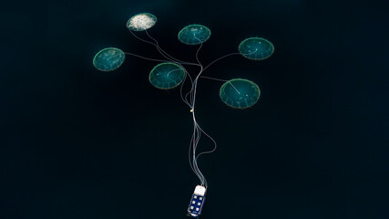 Aerial view of abstract circular patterns of a salmon farm in tranquil water, Sorstraumen, Troms, Norway.