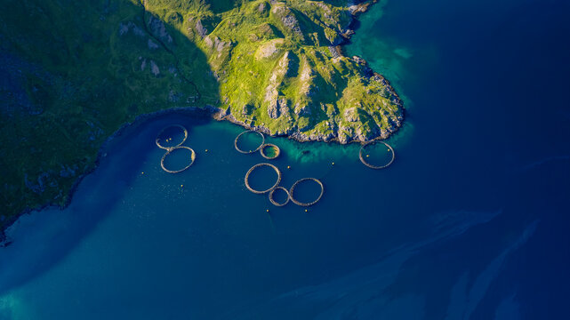 Aerial view of panoramic salmon farm surrounded by beautiful green hills and clear blue water, Kamoyvaer, Mageroy island, Finnmark, Norway.