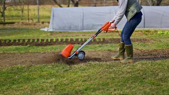 Woman preparing garden beds for planting. Rotovator, garden tiller, rotary tiller or mini cultivator. Cultivators break up compacted soil, improve its structure and aeration.