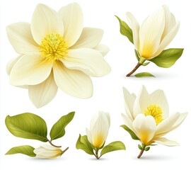 Fototapeta premium The design elements set includes beautiful yellow flowers in botanical illustration clip art isolated against a white background