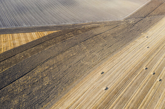 Aerial view of a beautiful cornfield with golden rows and patterns in the scenic countryside, Cordoba, provincia de Cordoba, Spain.