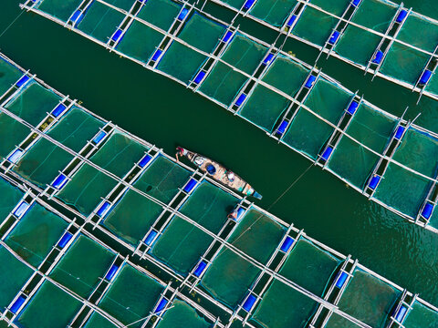 Aerial view of colorful fishing boats and nets on Kaptai Lake surrounded by vibrant greenery and tribal communities, Rangamati, Chittagong, Bangladesh.