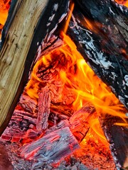 Raging orange flames of fire. Bright flames devour the wood. 