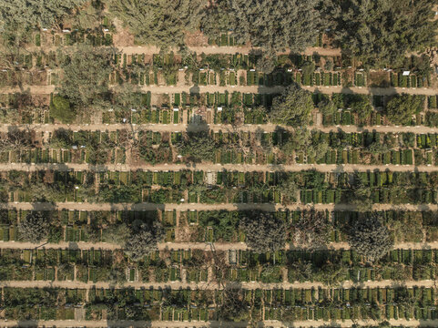 Aerial view of serene cemetery with aligned graves and lush greenery, Mohammadpur Upazila, Dhaka, Bangladesh.