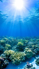 Underwater coral reef bathed in sunlight (1)