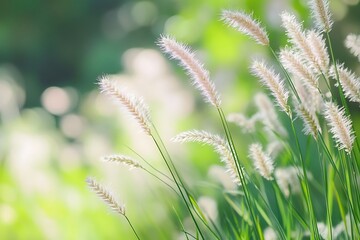 grass blossoms display their soft hues and elegant shapes enhancing allure and splendor of grassy scenery  
