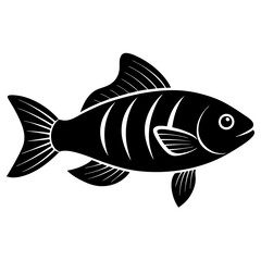 fish on a white background
