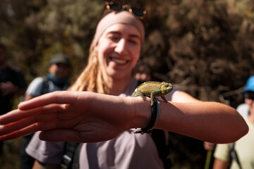 Smiling tourist holding chameleon on mount meru, tanzania. Tourist showing a chameleon standing on...