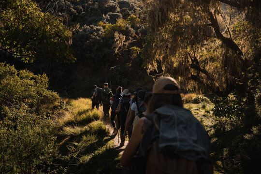 Hikers walking on trail in mount meru, arusha national park, tanzania