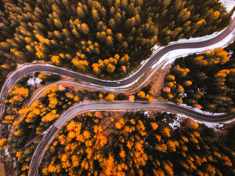 Aerial view of a winding road on a mountain pass surrounded by autumn colors and forest, Bondo, Trentino, Italy.