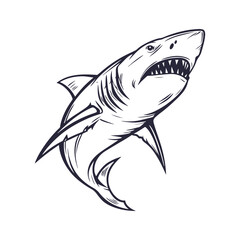 Shark Hand Drawn Style Vector Clipart Isolated Illustration on white background.