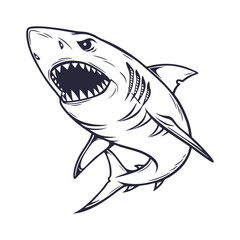 Shark Hand Drawn Style Vector Clipart Isolated Illustration on white background.