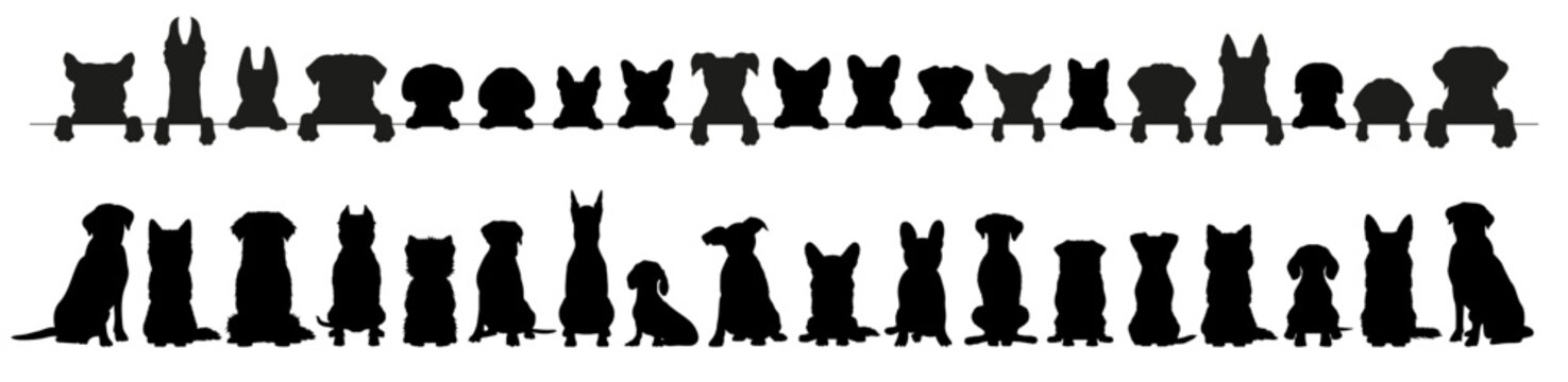 Front view silhouette of different american dog group, breed or pet in standing or sitting position. Wild animal, puppy, pug, bulldog or dachshund doodle icon, cartoon sticker with paw symbol and tail