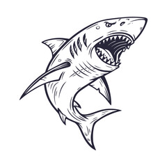 Shark Hand Drawn Style Vector Clipart Isolated Illustration on white background.
