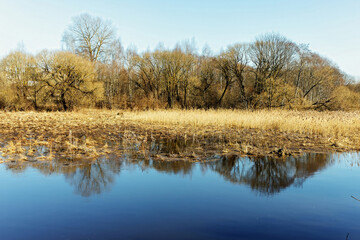 Yellow riverbank on a sunny day in early spring