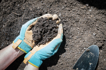 Blue and yellow, gloved hands holding rich, dark, brown soil.