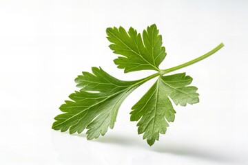 Leaf flying In Air Stock Photos