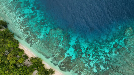 Aerial view of tropical reef and pristine beach with clear turquoise water and lush greenery, Western Province, Solomon Islands.