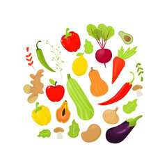 Fototapeta premium vegetable illustration vector