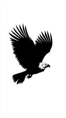 Obraz premium A Majestic Bald Eagle in Flight, Silhouetted Against a White Background