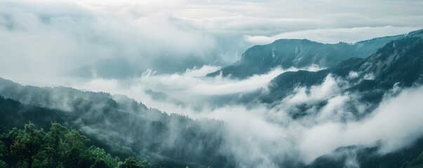 Obraz premium A mountain range covered in fog