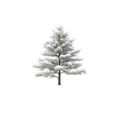 Obraz premium Snow-Covered Evergreen Tree Isolated on Transparent background