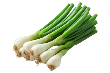 Fresh green onions with white bulbs, isolated on white transparent background, concept of healthy eating.
