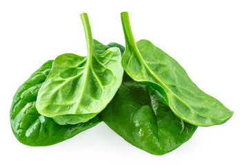 Spinach leaves isolated on white background. Baby Spinach leaf Flat lay. Top view.  Espinach leaves