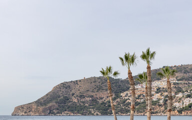 In  La Herradura, Andalusien, Spanien.