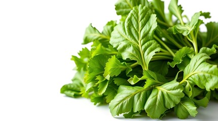 Obraz premium food, tomato, vegetable, vegetables, fresh, healthy, green, pepper, red, salad, diet, vegetarian, lettuce, isolated, tomatoes, onion, cucumber, organic, white, cooking, ingredient, leaf, parsley, heal