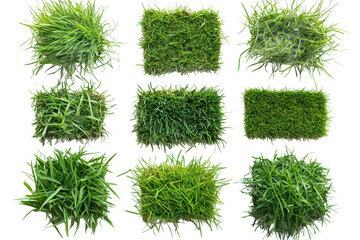 A collection of nine patches of vibrant green grass arranged on a bright white background in a grid pattern