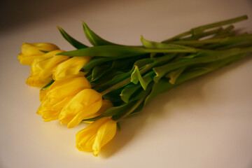 A beautiful arrangement of spring flowers. Yellow tulips are lying on a white table. Valentine's Day, Easter, Birthday, Women's Day, Mother's Day. Flat layout, top view, copy.
