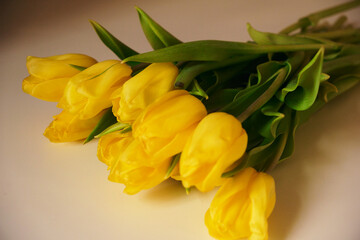 Obraz premium A beautiful arrangement of spring flowers. Yellow tulips are lying on a white table. Valentine's Day, Easter, Birthday, Women's Day, Mother's Day. Flat layout, top view, copy.