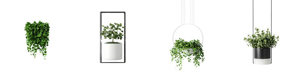 Minimalist botanical wall display with various suspended indoor plants and greenery in geometric frames creating a modern fresh and nature inspired interior decor