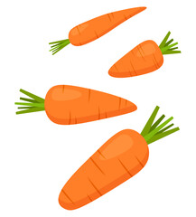 Orange set carrots cute cartoon healthy vegan illustration
