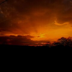 Orange sky