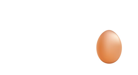 Brown chicken egg on white background. Copy space.