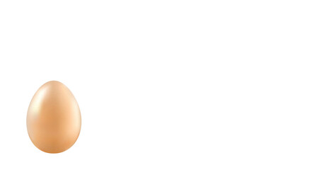 Brown chicken egg on white background. Copy space.