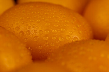 a large number of ripe orange tomatoes that are on the table