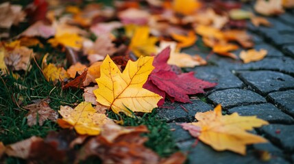 Fallen Colorful Leaves on Autumn Background: Tranquil Nature Scene with Vibrant Foliage Display