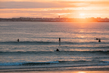 Fototapeta premium Surfers wait for waves under golden sunset light in Baleal