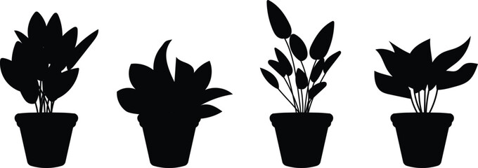 Silhouettes of Houseplants in Black Color Trendy Home Decor with Indoor Plants, Planters, and Tropical Leaves 