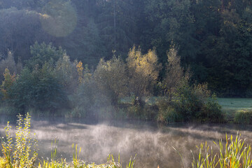 mixed forest and river in sunny weather in early August