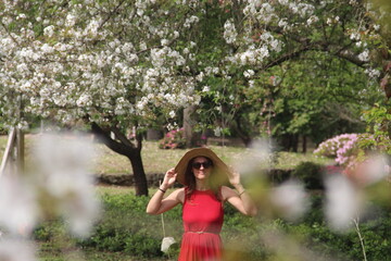 mulher ao lado de sakuras floridas em frei rog&eacute;rio, santa catarina