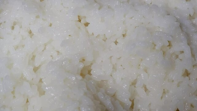 한국,쌀밥,흰밥,밥,밥 짓기, 전기밥솥,쌀,음식,Korea, rice, white rice, rice, cooking rice, electric rice cooker, rice, food